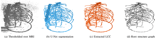 Figure 3 for Robust Skeletonization for Plant Root Structure Reconstruction from MRI