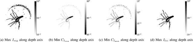 Figure 4 for Robust Skeletonization for Plant Root Structure Reconstruction from MRI