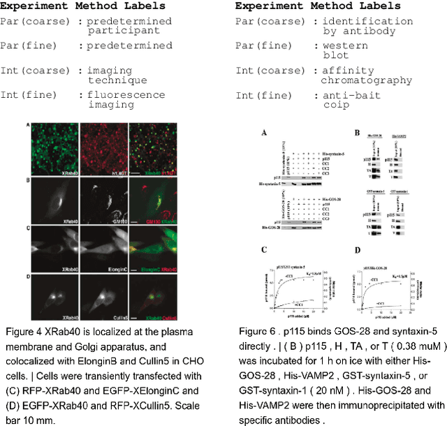 Figure 3 for MELINDA: A Multimodal Dataset for Biomedical Experiment Method Classification