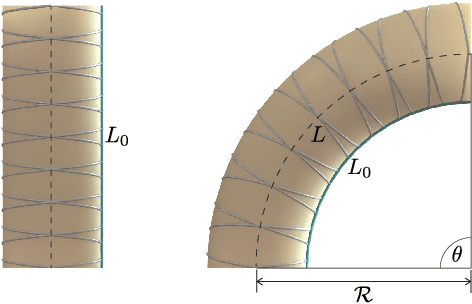 Figure 3 for Emulating duration and curvature of coral snake anti-predator thrashing behaviors using a soft-robotic platform