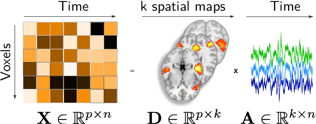 Figure 1 for Fine-grain atlases of functional modes for fMRI analysis
