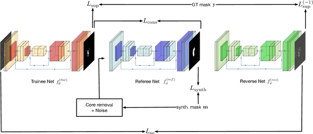 Figure 3 for Self-supervised U-net for few-shot learning of object segmentation in microscopy images