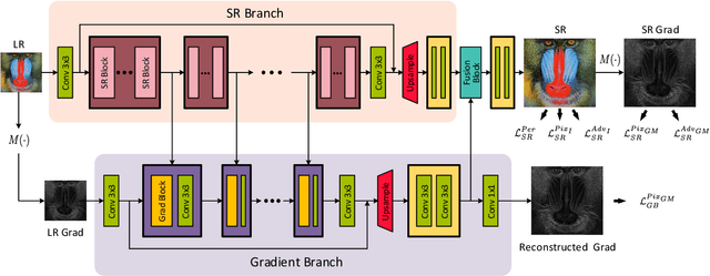 Figure 3 for Structure-Preserving Super Resolution with Gradient Guidance