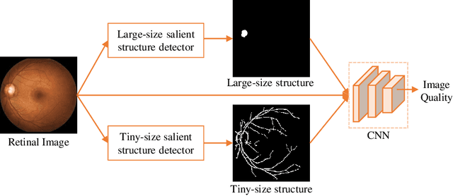 Figure 3 for A Deep Retinal Image Quality Assessment Network with Salient Structure Priors