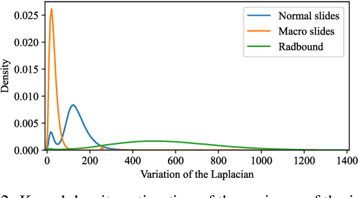 Figure 3 for Spectral decoupling allows training transferable neural networks in medical imaging