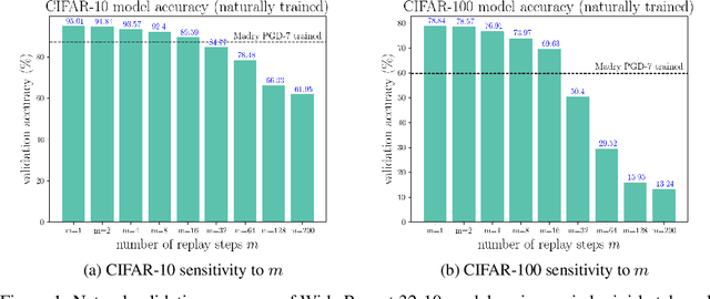 Figure 1 for Adversarial Training for Free!