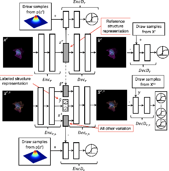 Figure 1 for Generative Modeling with Conditional Autoencoders: Building an Integrated Cell