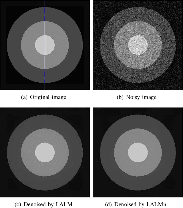 Figure 3 for Restricted Linearized Augmented Lagrangian Method for Euler's Elastica Model