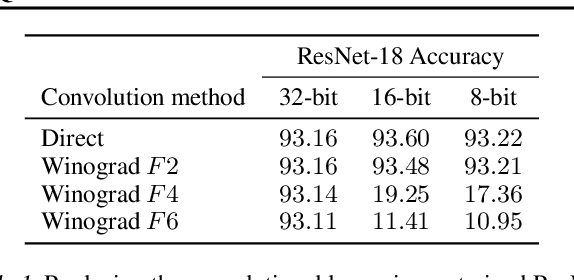 Figure 2 for Searching for Winograd-aware Quantized Networks