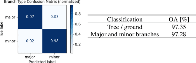 Figure 3 for Approach for modeling single branches of meadow orchard trees with 3D point clouds