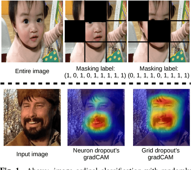 Figure 1 for Image Ordinal Classification and Understanding: Grid Dropout with Masking Label