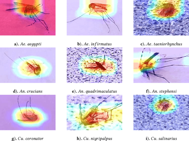 Figure 3 for Automating the Surveillance of Mosquito Vectors from Trapped Specimens Using Computer Vision Techniques