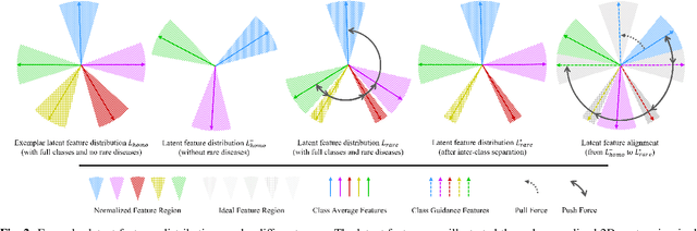Figure 2 for FedRare: Federated Learning with Intra- and Inter-Client Contrast for Effective Rare Disease Classification