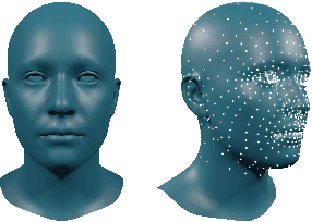 Figure 4 for Learning to Fit Morphable Models