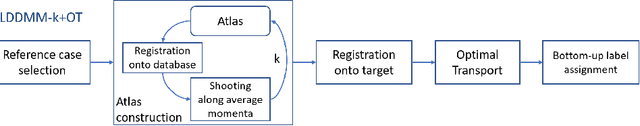 Figure 1 for Database Annotation with few Examples: An Atlas-based Framework using Diffeomorphic Registration of 3D Trees