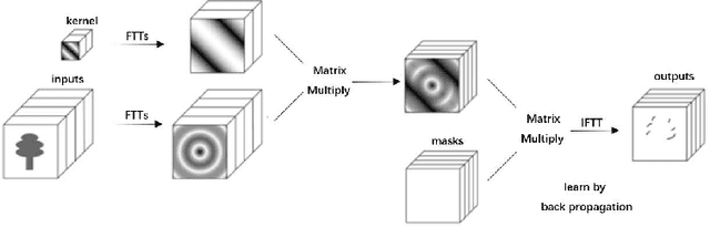 Figure 1 for Robust Learning with Frequency Domain Regularization