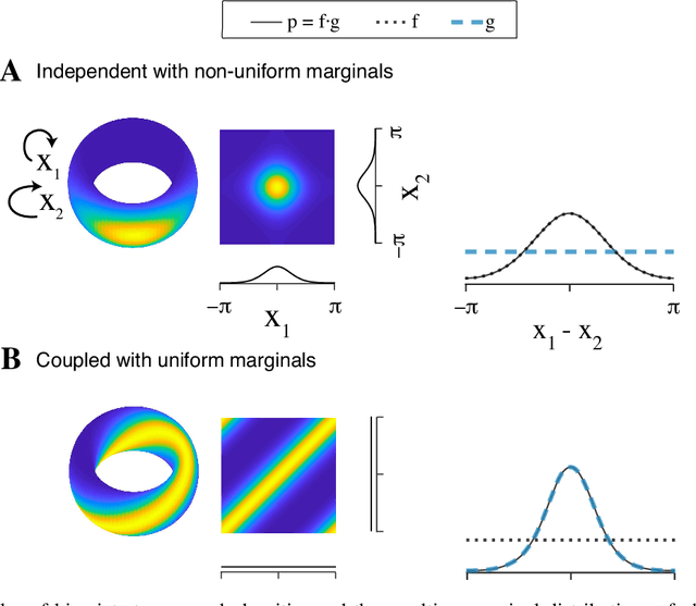 Figure 2 for Torus Graphs for Multivariate Phase Coupling Analysis