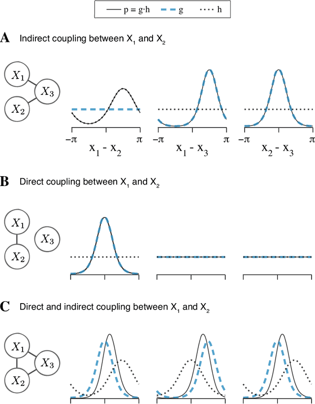 Figure 3 for Torus Graphs for Multivariate Phase Coupling Analysis