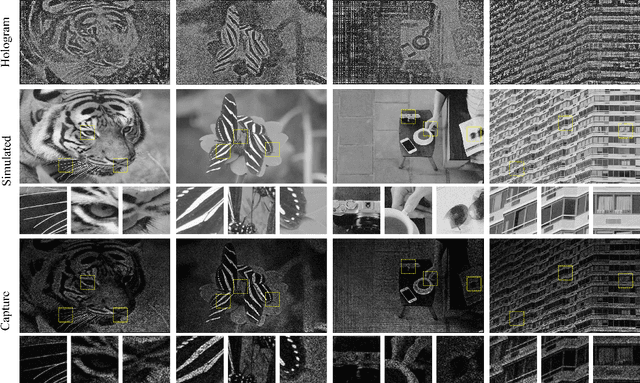Figure 2 for Learned holographic light transport