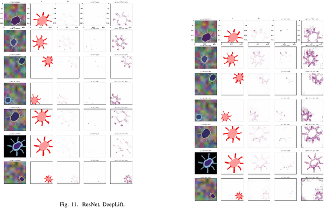 Figure 4 for Quantifying Explainability of Saliency Methods in Deep Neural Networks