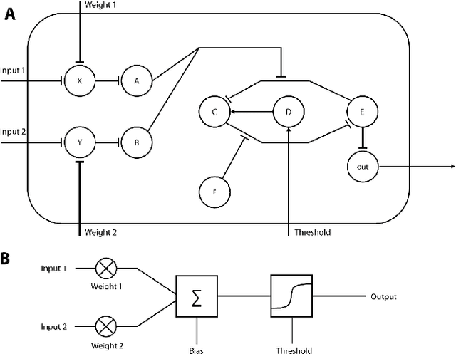 Figure 1 for Towards Multicellular Biological Deep Neural Nets Based on Transcriptional Regulation