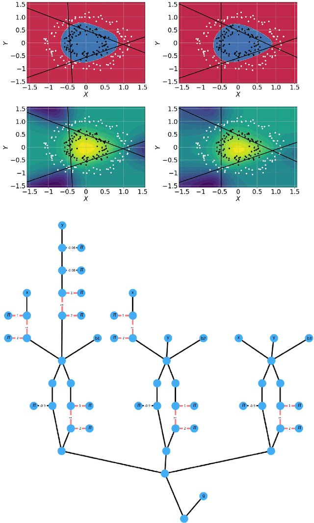 Figure 4 for XY Neural Networks