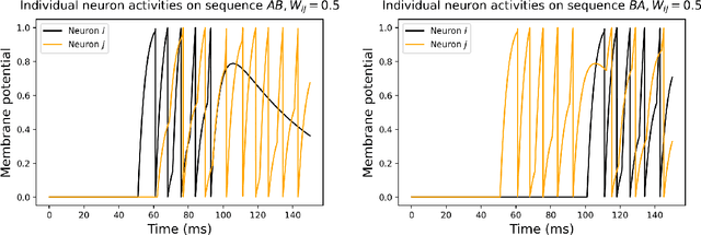 Figure 3 for Condition Integration Memory Network: An Interpretation of the Meaning of the Neuronal Design