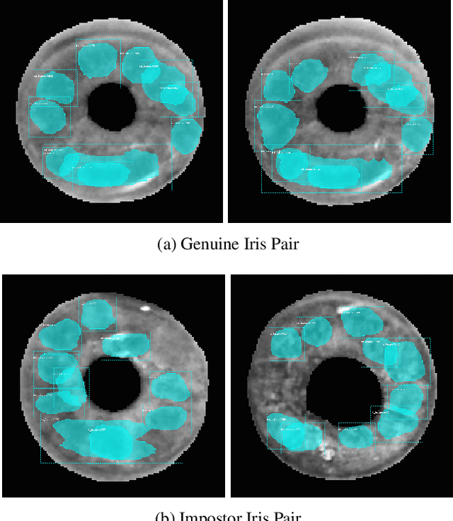 Figure 2 for Human Saliency-Driven Patch-based Matching for Interpretable Post-mortem Iris Recognition