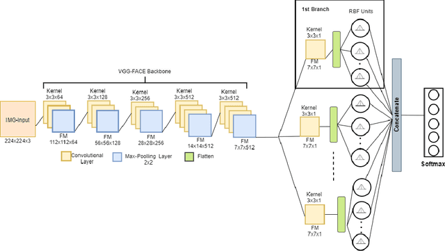 Figure 1 for Multi-Branch Deep Radial Basis Function Networks for Facial Emotion Recognition