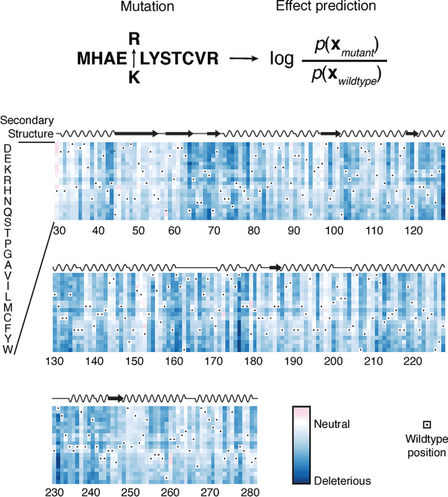 Figure 3 for Deep generative models of genetic variation capture mutation effects