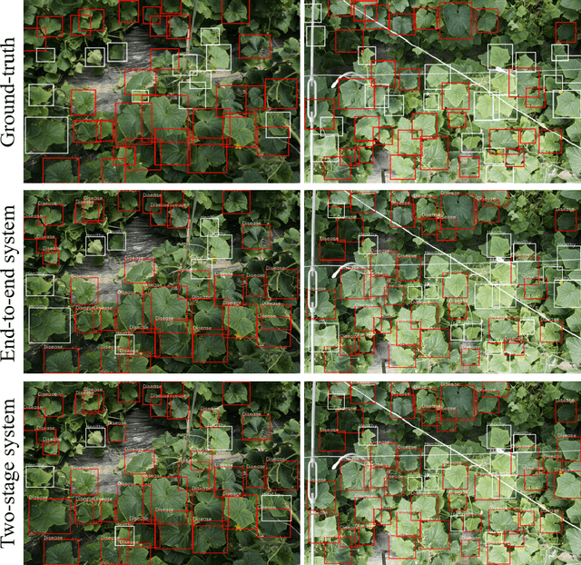 Figure 2 for A comparable study: Intrinsic difficulties of practical plant diagnosis from wide-angle images