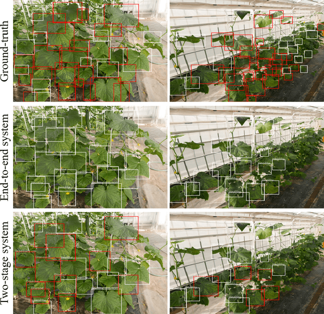 Figure 3 for A comparable study: Intrinsic difficulties of practical plant diagnosis from wide-angle images