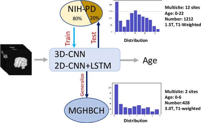 Figure 1 for Brain Age Estimation Using LSTM on Children's Brain MRI