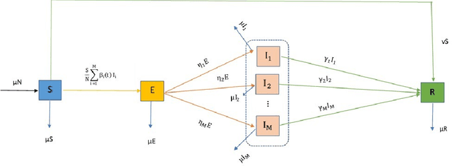 Figure 1 for Multi-variant COVID-19 model with heterogeneous transmission rates using deep neural networks