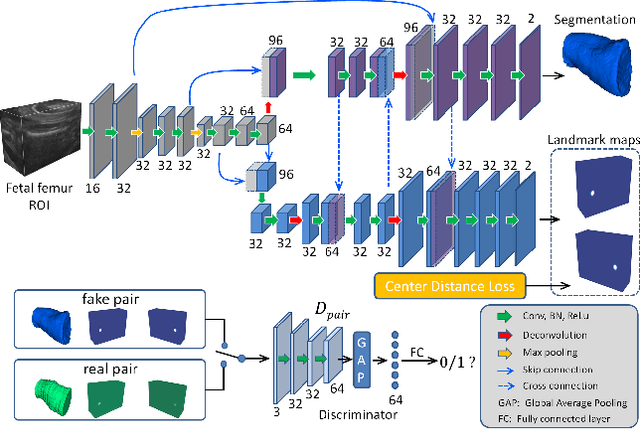 Figure 3 for Joint Segmentation and Landmark Localization of Fetal Femur in Ultrasound Volumes