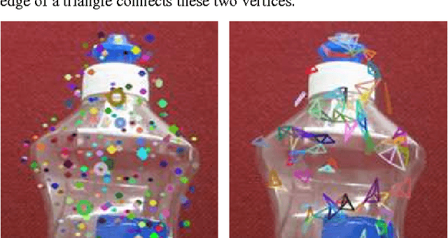 Figure 2 for Nested Graph Words for Object Recognition