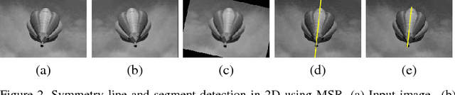 Figure 2 for Finding Mirror Symmetry via Registration