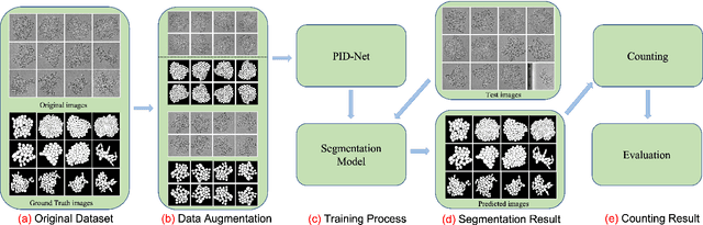 Figure 1 for An application of Pixel Interval Down-sampling (PID) for dense tiny microorganism counting on environmental microorganism images