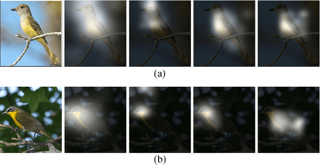Figure 1 for Diversified Visual Attention Networks for Fine-Grained Object Classification