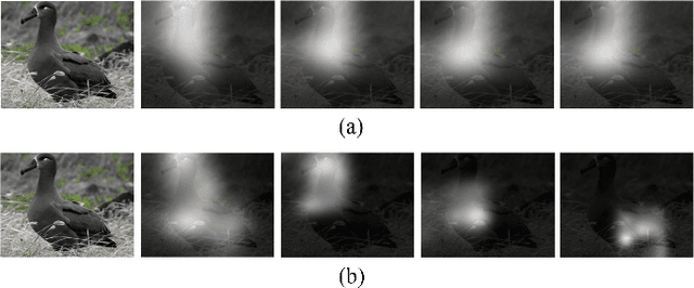 Figure 4 for Diversified Visual Attention Networks for Fine-Grained Object Classification