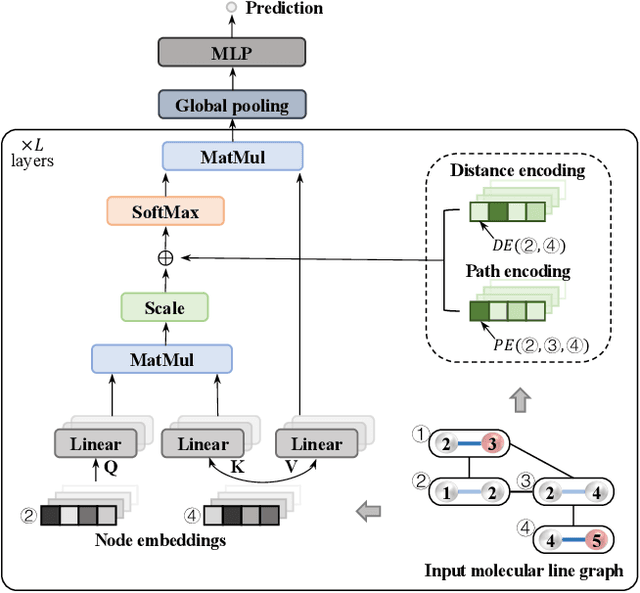 Figure 3 for KPGT: Knowledge-Guided Pre-training of Graph Transformer for Molecular Property Prediction