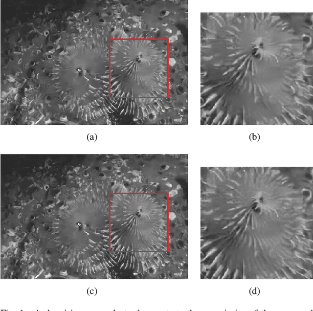 Figure 1 for Learning Non-local Image Diffusion for Image Denoising