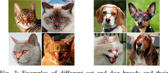 Figure 3 for Towards Fine-grained Image Classification with Generative Adversarial Networks and Facial Landmark Detection