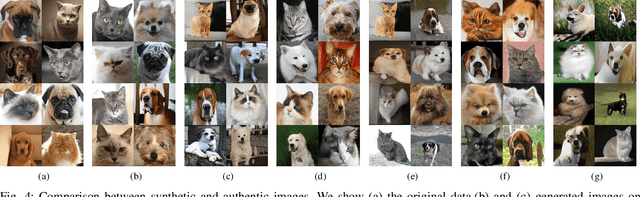 Figure 4 for Towards Fine-grained Image Classification with Generative Adversarial Networks and Facial Landmark Detection