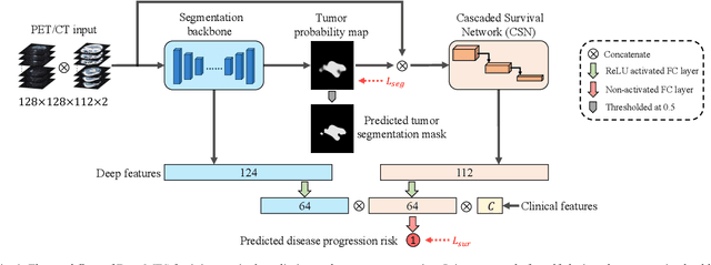 Figure 2 for DeepMTS: Deep Multi-task Learning for Survival Prediction in Patients with Advanced Nasopharyngeal Carcinoma using Pretreatment PET/CT