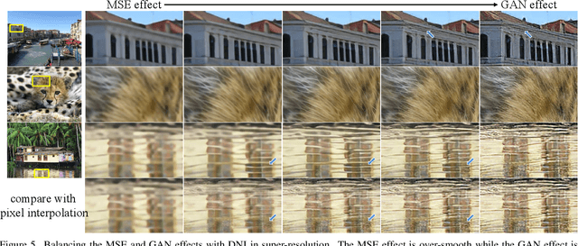 Figure 4 for Deep Network Interpolation for Continuous Imagery Effect Transition