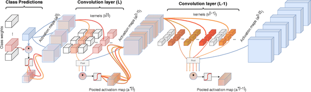 Figure 3 for Class Feature Pyramids for Video Explanation