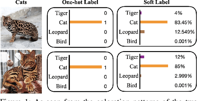 Figure 1 for Learning with Retrospection