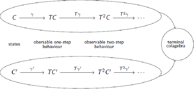 Figure 3 for Towards Coalgebras in Stylometry