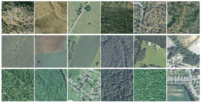 Figure 4 for Evaluating Self and Semi-Supervised Methods for Remote Sensing Segmentation Tasks